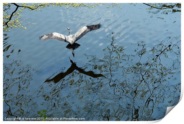 in flight Print by Jo Beerens