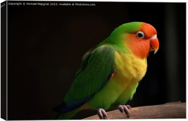 A beautiful lovebird created with generative AI technology. Canvas Print by Michael Piepgras
