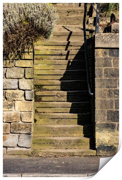 Steps Print by Glen Allen