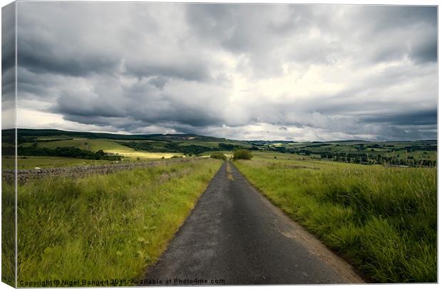 Country Lane in Northumberland Canvas Print by Nigel Bangert