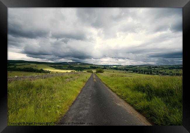Country Lane in Northumberland Framed Print by Nigel Bangert