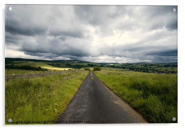 Country Lane in Northumberland Acrylic by Nigel Bangert