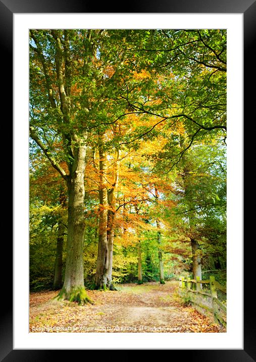 Digital Art Autumnal Woodland Pathway Framed Mounted Print by Natalie Kinnear