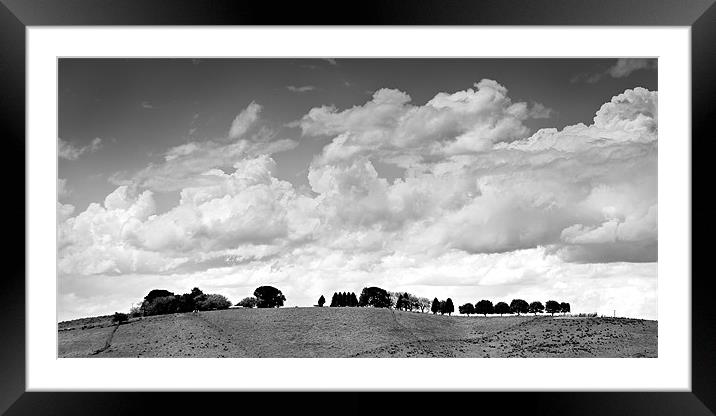 Tree Line 2 Framed Mounted Print by Dennis Gay