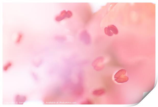 Unfocused blossoming peach Print by Sergey Fedoskin
