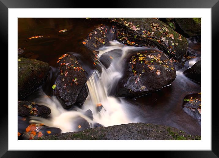 Autumn stream Framed Mounted Print by Mark Harrop