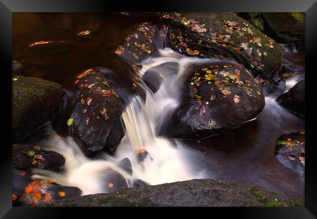 Autumn stream Framed Print by Mark Harrop