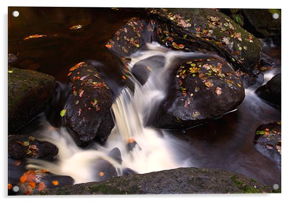 Autumn stream Acrylic by Mark Harrop