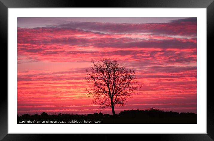 Tree silhouette sunrise Framed Mounted Print by Simon Johnson