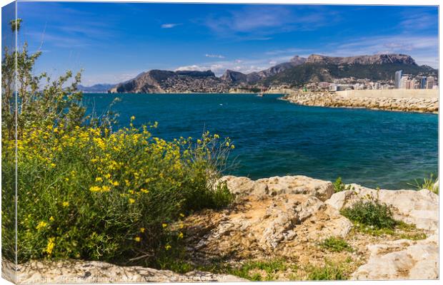 View of Calpe from the Parc Natural del Penyal d'I Canvas Print by Michael Shannon