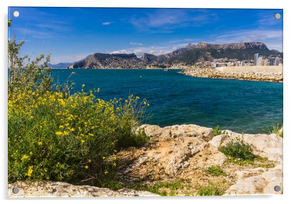 View of Calpe from the Parc Natural del Penyal d'I Acrylic by Michael Shannon