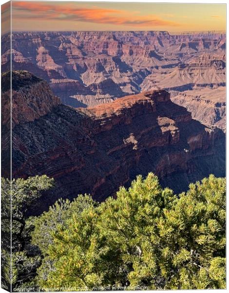 Captivating Sunrise Overlooking the Grand Canyon Canvas Print by Deanne Flouton
