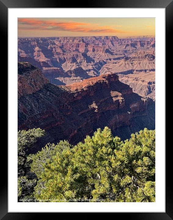 Captivating Sunrise Overlooking the Grand Canyon Framed Mounted Print by Deanne Flouton