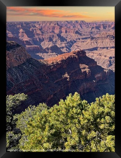 Captivating Sunrise Overlooking the Grand Canyon Framed Print by Deanne Flouton