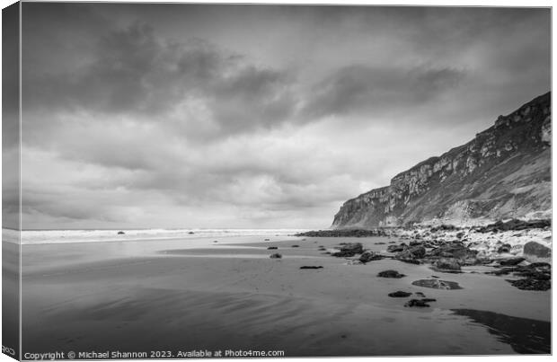 Chalk Cliffs at the end of Speeton Beach. Canvas Print by Michael Shannon