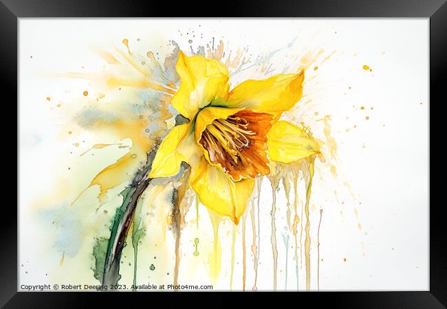 Daffodil Framed Print by Robert Deering