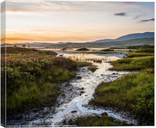 Summer Morning on Rannoch Moor Canvas Print by Peter Paterson