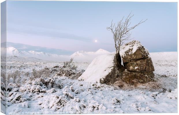 Winter Morning on Rannoch Moor Canvas Print by Peter Paterson
