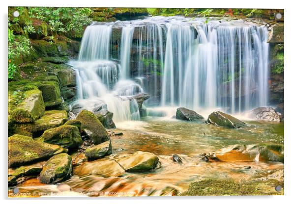 Cwm Du Glen Waterfall – Pontardawe Acrylic by Terry Brooks