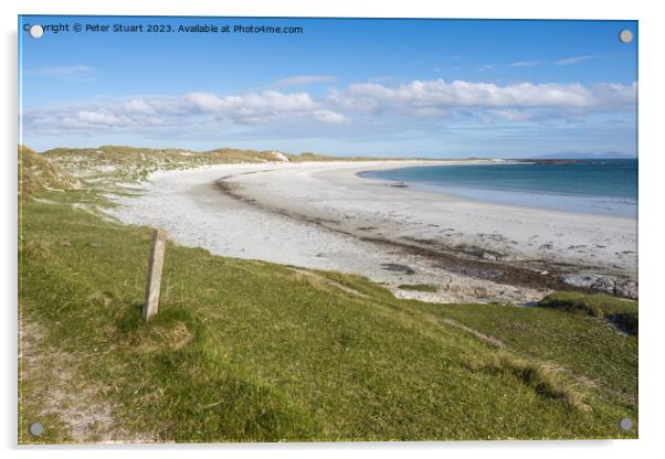 North Uist is a haven for birdwatchers and there is an RSPB rese Acrylic by Peter Stuart