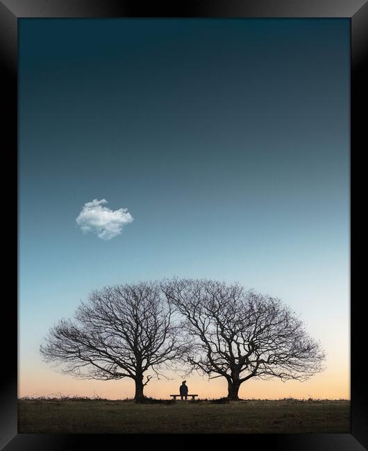 Hugging Trees Framed Print by Mark Jones
