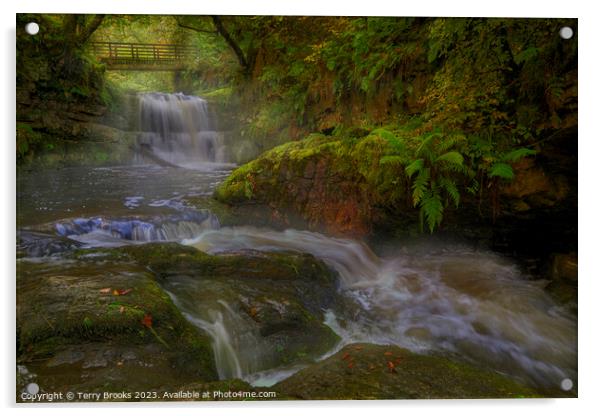 Sychryd Waterfall Fairy Glen Pontneddfechan Acrylic by Terry Brooks