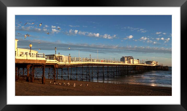 Worthing And Gulls Framed Mounted Print by Clive Eariss
