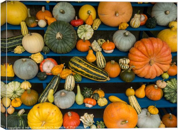 Harvest Festival Gourd display Canvas Print by Photimageon UK