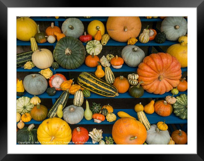 Harvest Festival Gourd display Framed Mounted Print by Photimageon UK