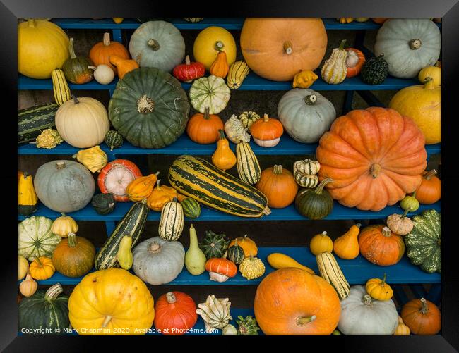 Harvest Festival Gourd display Framed Print by Photimageon UK