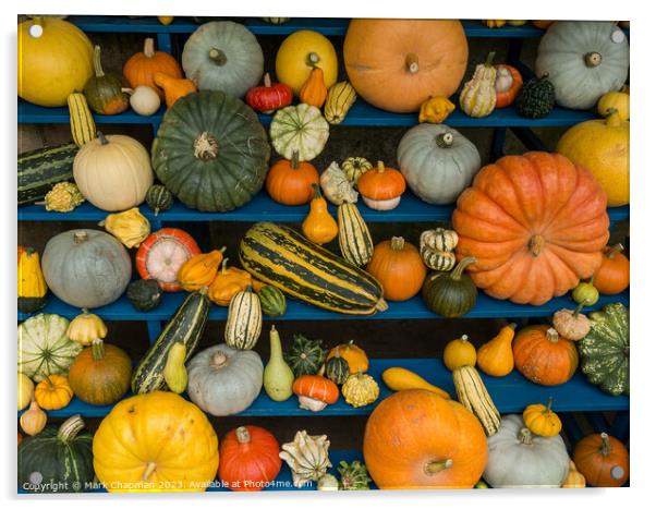 Harvest Festival Gourd display Acrylic by Photimageon UK