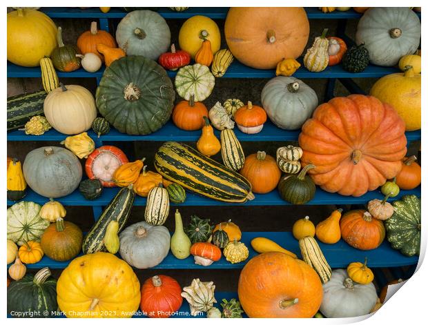 Harvest Festival Gourd display Print by Photimageon UK