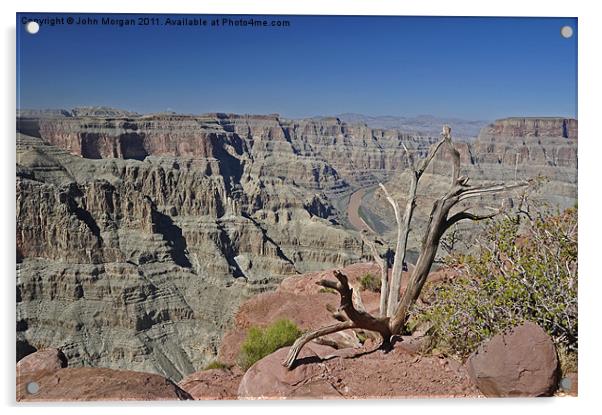 Grand Canyon. Acrylic by John Morgan