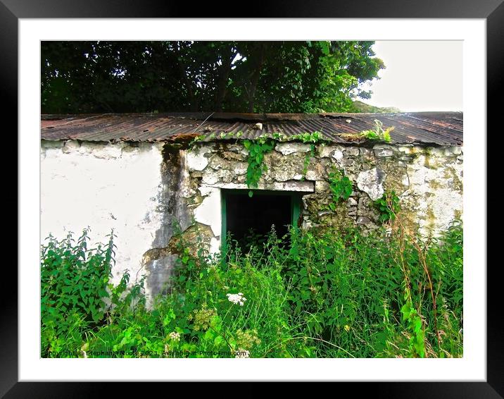 Abandoned shed Framed Mounted Print by Stephanie Moore