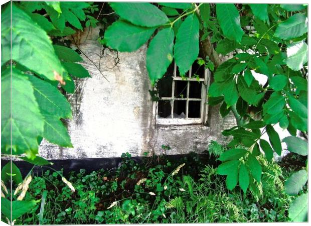 Hidden and overgrown Canvas Print by Stephanie Moore