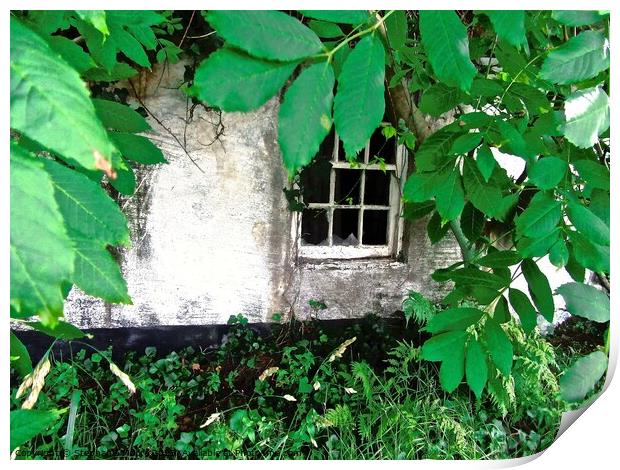 Hidden and overgrown Print by Stephanie Moore