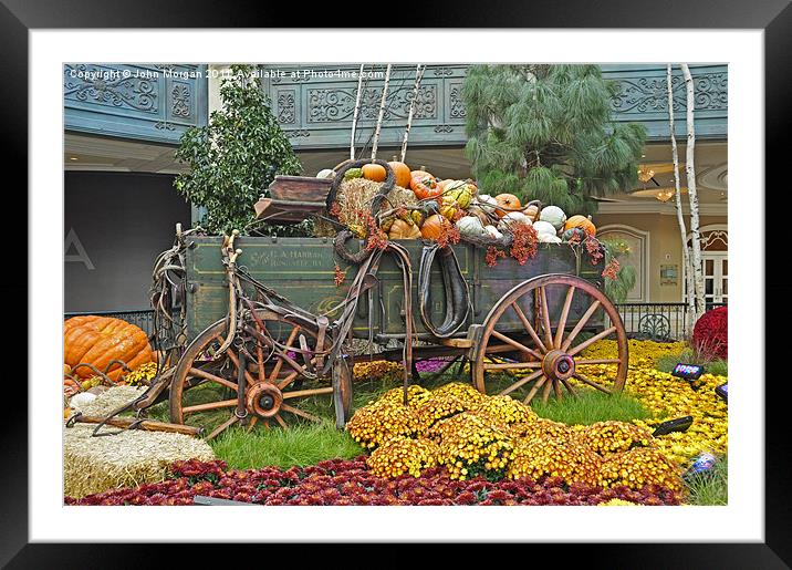 Wagon of pumpkins. Framed Mounted Print by John Morgan