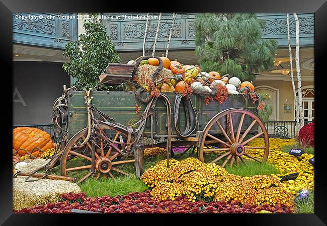 Wagon of pumpkins. Framed Print by John Morgan