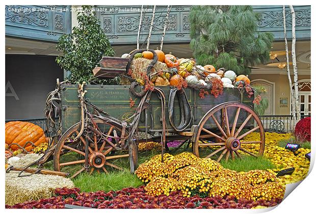 Wagon of pumpkins. Print by John Morgan