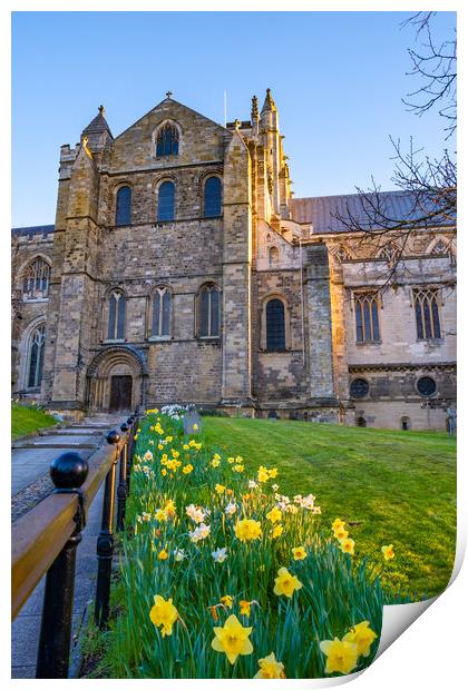 Ripon Cathedral Print by Steve Smith