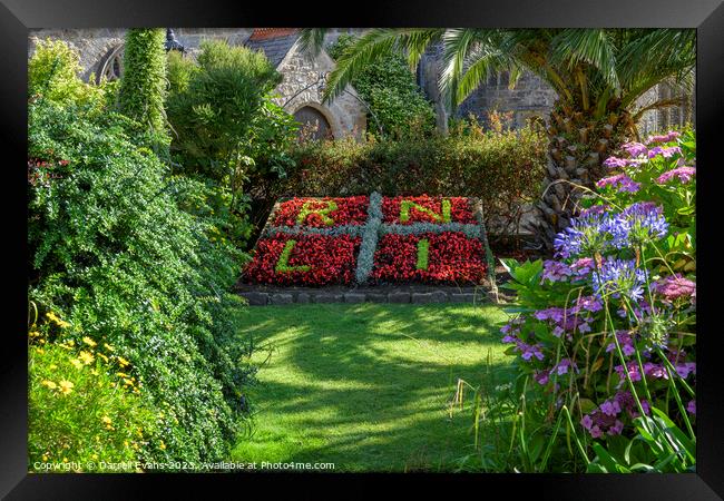 RNLI Flowerbed Framed Print by Darrell Evans