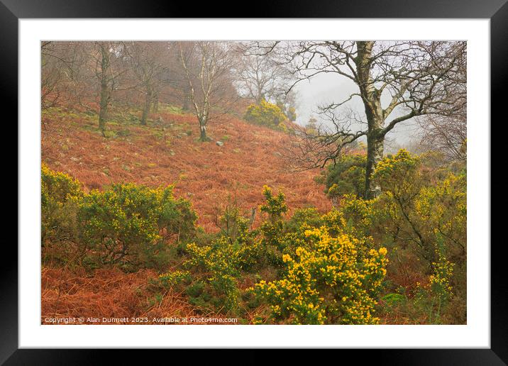 It's all about the deer Framed Mounted Print by Alan Dunnett