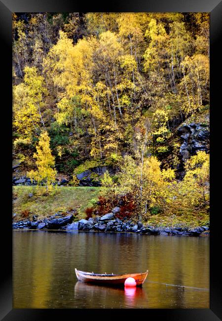Serene Autumnal Scene at Flam Aurlandsfjord Norweg Framed Print by Andy Evans Photos
