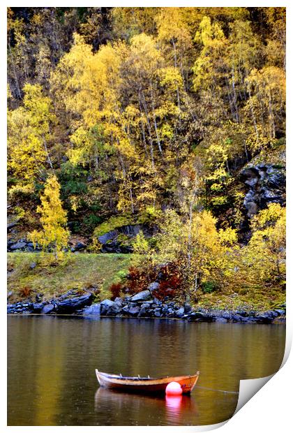 Serene Autumnal Scene at Flam Aurlandsfjord Norweg Print by Andy Evans Photos
