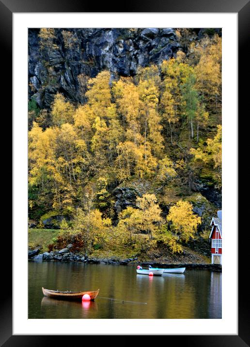 Flam Aurlandsfjord Norwegian Fjord Norway Framed Mounted Print by Andy Evans Photos