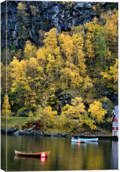 Majestic Aurlandsfjord in Norway Canvas Print by Andy Evans Photos