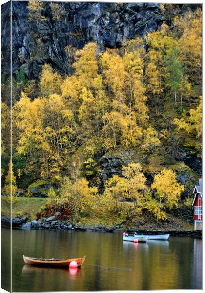 Flam Aurlandsfjord Norwegian Fjord Norway Canvas Print by Andy Evans Photos