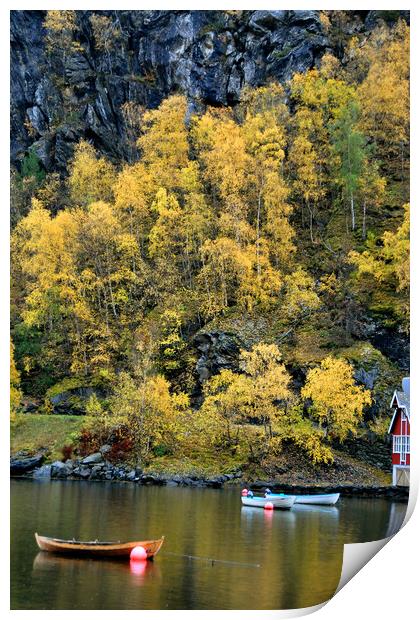 Flam Aurlandsfjord Norwegian Fjord Norway Print by Andy Evans Photos