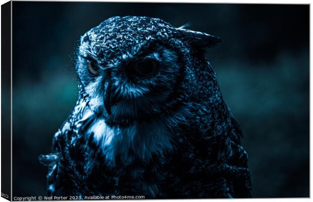 The Night Owl Canvas Print by Neil Porter