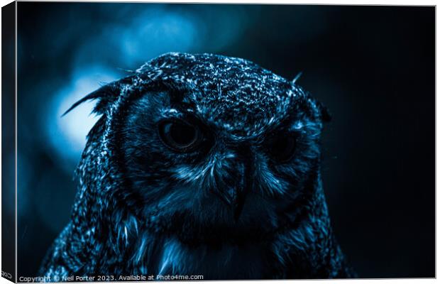 Twit Twoo Canvas Print by Neil Porter
